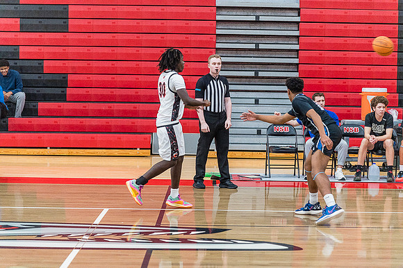 NSBFallBall-322