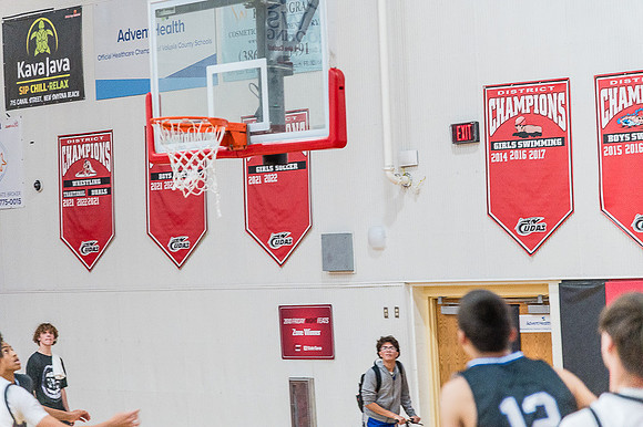 NSBFallBall-127