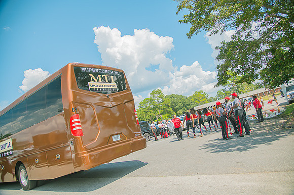 MMP-13