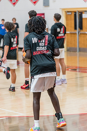 NSBFallBall-84