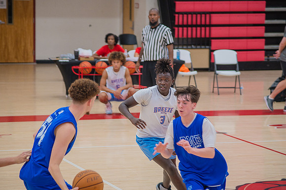 Fallball-29