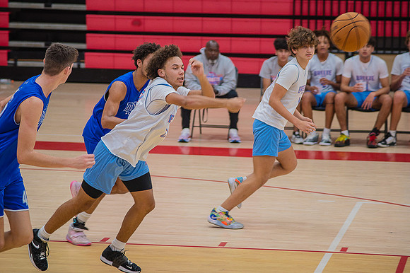 Fallball-43