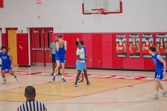 Fallball-48