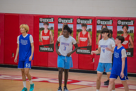 Fallball-87