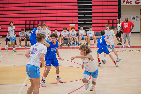 Fallball-131