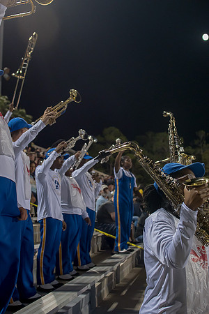 MHS-20