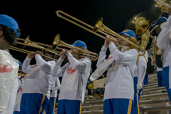 MHS-33
