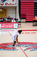 seabreeze-12