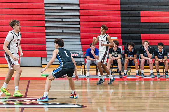 NSBFallBall-220