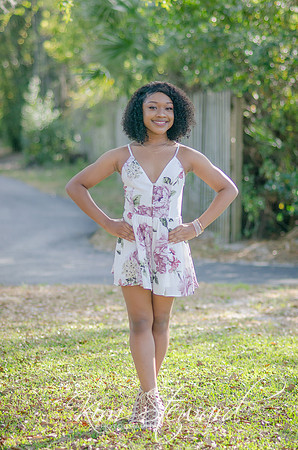 Arayla-3