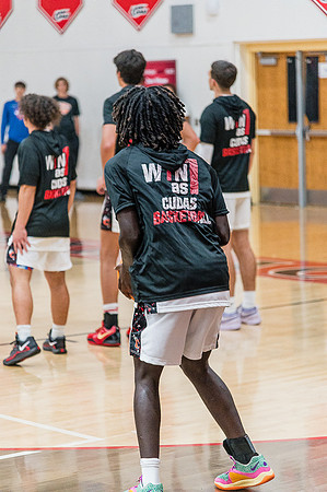 NSBFallBall-85