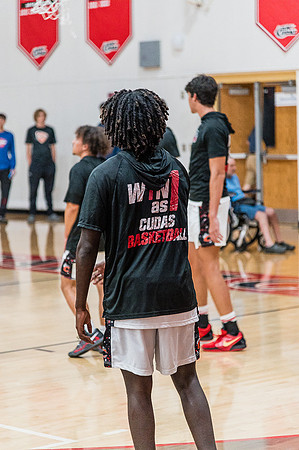 NSBFallBall-77