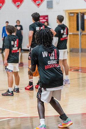NSBFallBall-86